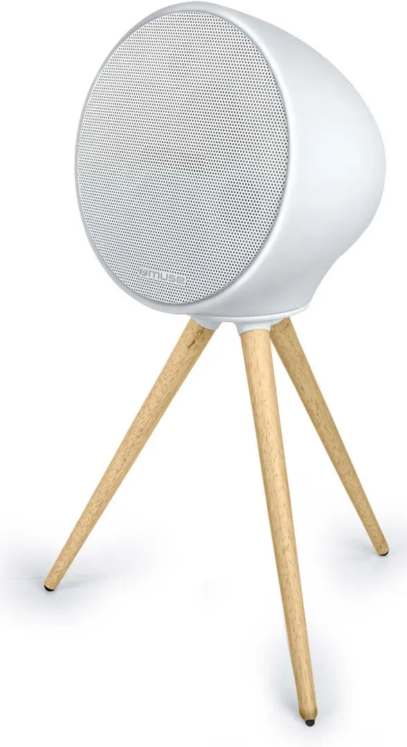 Modèle MUSE ML655BT Enceinte nomade