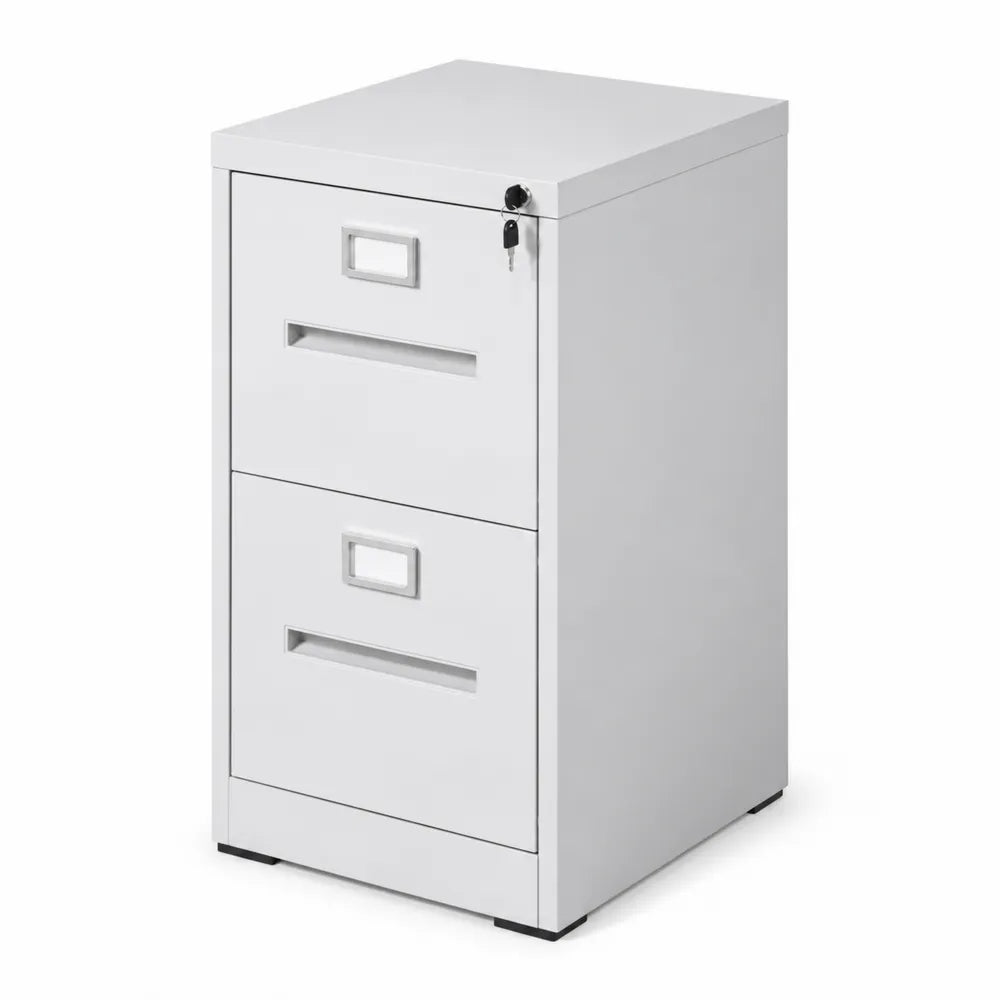 Armoire à dossiers métallique verrouillable 2 tiroirs, Blanc