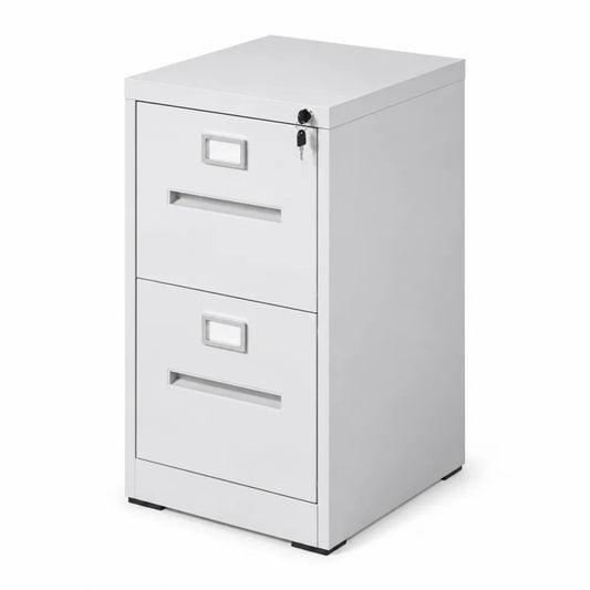 Armoire à dossiers métallique verrouillable 2 tiroirs, Blanc